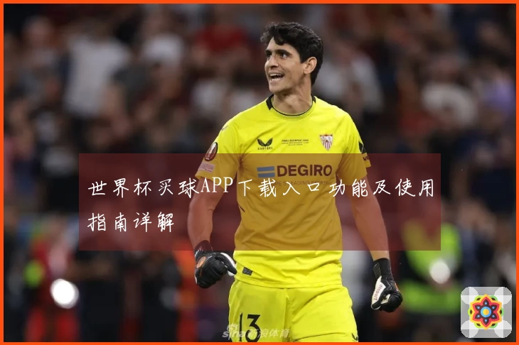 世界杯买球APP下载入口功能及使用指南详解