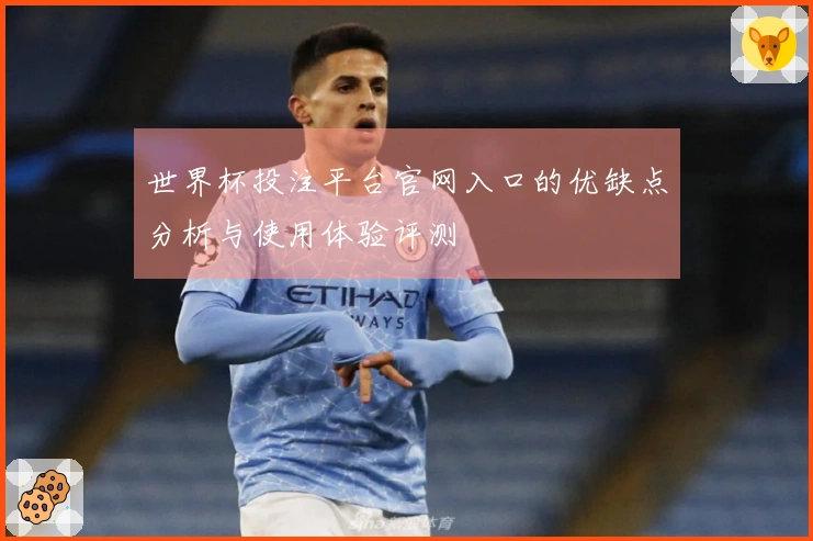 世界杯投注平台官网入口的优缺点分析与使用体验评测