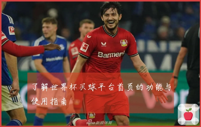了解世界杯买球平台首页的功能与使用指南