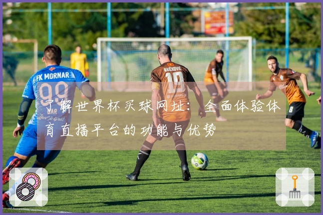 了解世界杯买球网址：全面体验体育直播平台的功能与优势