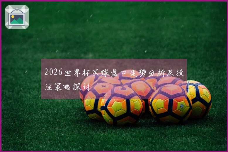2026世界杯买球盘口走势分析及投注策略探讨