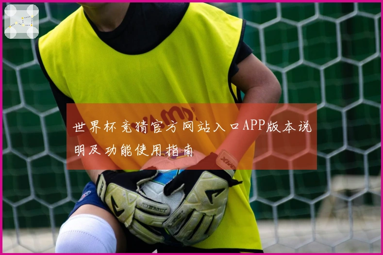 世界杯竞猜官方网站入口APP版本说明及功能使用指南