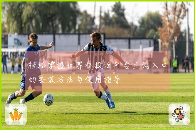 轻松掌握世界杯投注平台主站入口的安装方法与使用指导