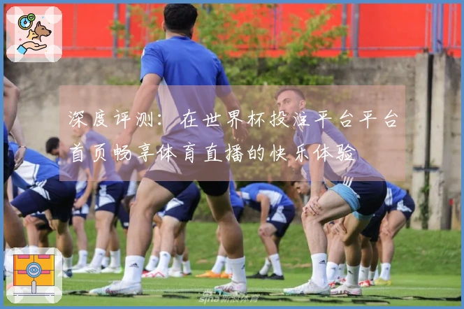 深度评测：在世界杯投注平台平台首页畅享体育直播的快乐体验
