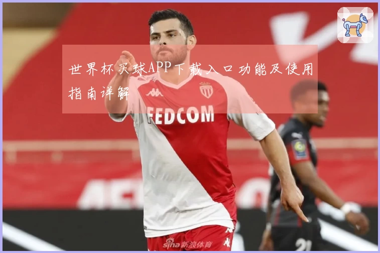 世界杯买球APP下载入口功能及使用指南详解