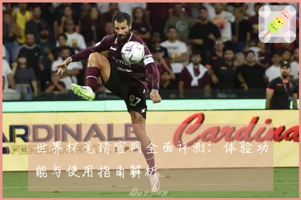 世界杯竞猜官网全面评测:体验功能与使用指南解析