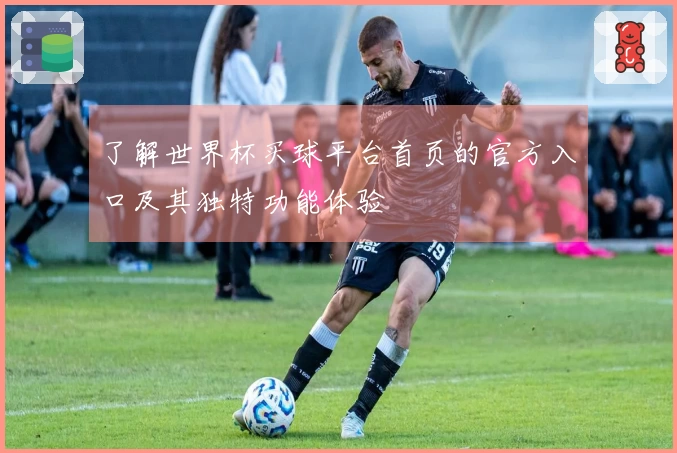了解世界杯买球平台首页的官方入口及其独特功能体验