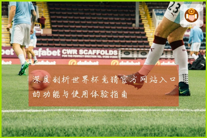 深度剖析世界杯竞猜官方网站入口的功能与使用体验指南