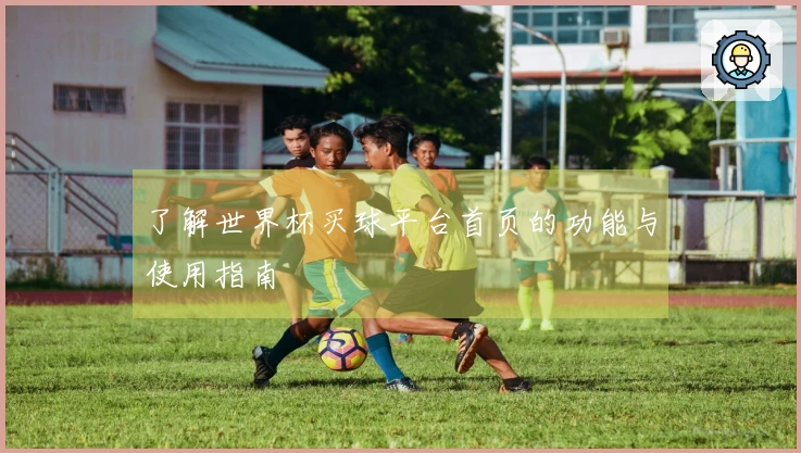 了解世界杯买球平台首页的功能与使用指南